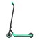 Segway Ninebot Zing A6 Electric Kick Scooter Green