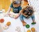 Plantoys Wooden Gear &amp; Puzzle