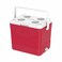 Cosmo Ice Box Picnic 24L