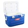 THERMOS FOAM HARD COOLER 30L BLUE