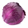 Red Cabbage