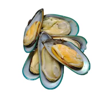 بلح بحر نصف صدفة