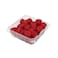 Driscoll's Organic Raspberries 170g