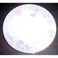 Dinner Plate 7 Inch