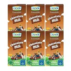 Buy Lacnor Essentials Junior Chocolate Milk 125ml Pack of 6 in UAE