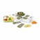 Salter 4 in 1 Mandoline Slicer Grater - Green/White