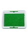 Generic Potty Training Pad Green/White