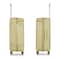Senator Hard Case Suitcase Trolley Luggage Set of 3 For Unisex ABS Lightweight Travel Bag with 4 Spinner Wheels KH1065 Tea Green