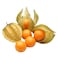 Physalis 100g