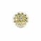 Goraiba Round Box 550 gr