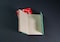 Mini Set of 2 Recycled Jute Notebooks