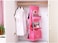 Blooming Time 6 Pocket Handbag Organizer Foldable Hanging Purse Storage Organiser