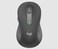 Logitech Signature M650 L Full Size Wireless Mouse - For Large Sized Hands, 2-Year Battery, Silent Clicks, Customizable Side Buttons, Bluetooth, Multi-Device Compatibility , Graphite