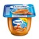 Danette Caramel Pudding Dessert 75g