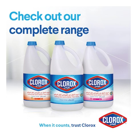 Clorox Liquid Bleach 470ml