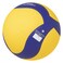 Mikasa V330W-L Volleyball Size 5