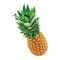 Pinapple Golden Dole