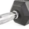 Harley Fitness 25.00KG Rubber Coated Fixed Hex Dumbbell 1 Pair