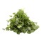 Coriander Leaves