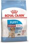Royal Canin Shn Medium Puppy 4 Kg Size Health Nutrition Dog Food, Multicolor, 02Rcmed3, Medium Puppy Dog Dry Food