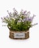 Dream Decor Decorative Artificial Flower Plant