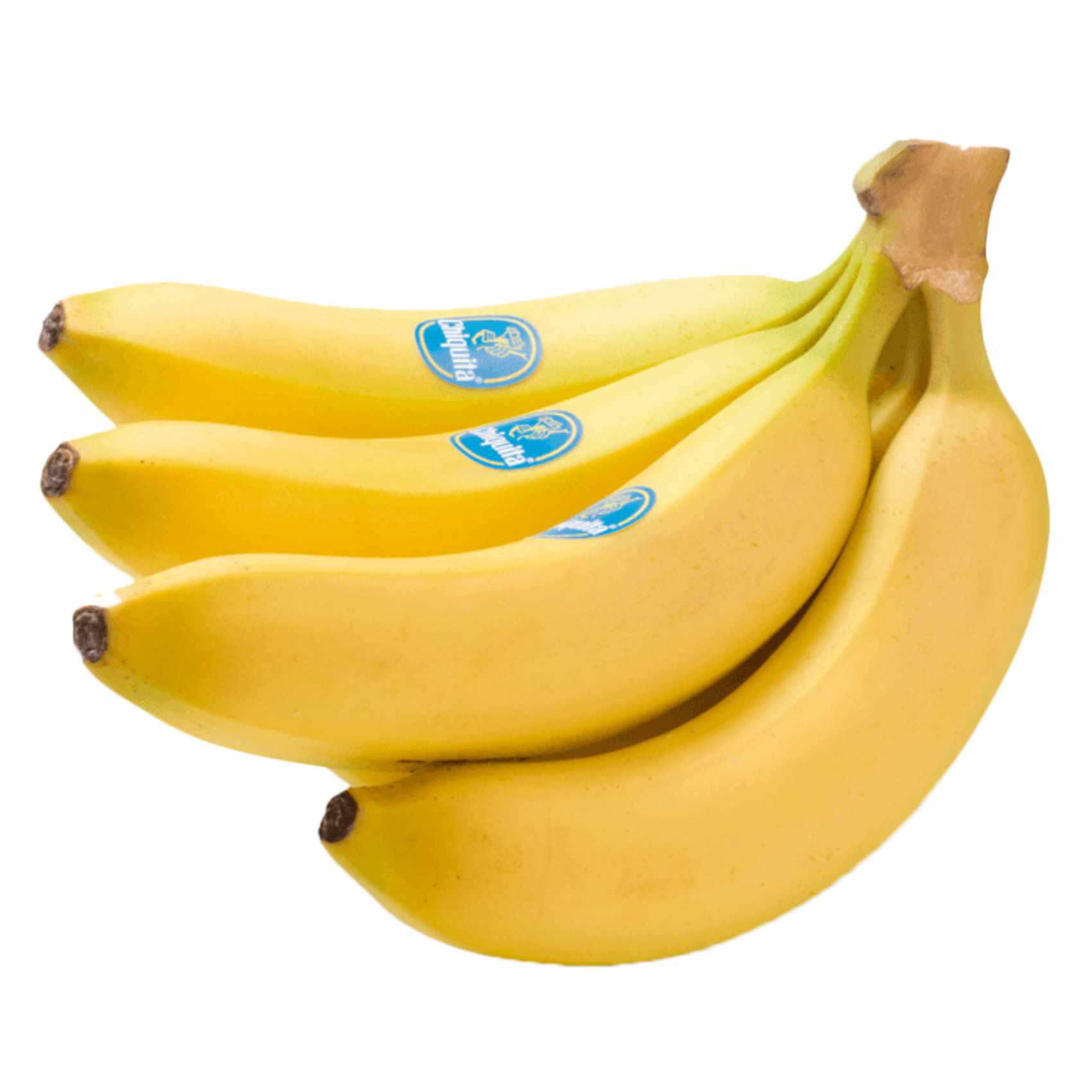 Chiquita Banana