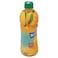 Fruiti_O Chaunsa Nectar 500 ml