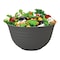 Aksa Solo Bowl - 500ml - Dark Grey