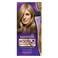 Wella Koleston Kit Root Touch Up Hair Color 8-1 Light Ash Blonde
