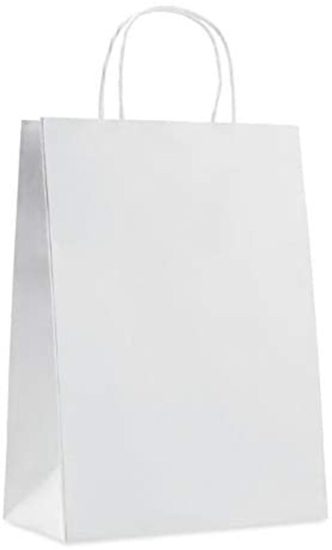 Gex 27 X 20 X 8 Cm White Kraft Paper Bag, Pack Of 12 Pieces