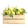 Organic Pear