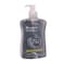 Carrefour Active Moisturizing Hand Wash - 500 ml