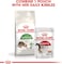 Royal Canin FHN Outdoor 2 kg Feline Breed Nutrition Cat Food