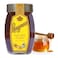Langnese Pure Bee Honey 250g