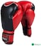 Max Strength Focus Pad + Revenger Gloves 12Oz