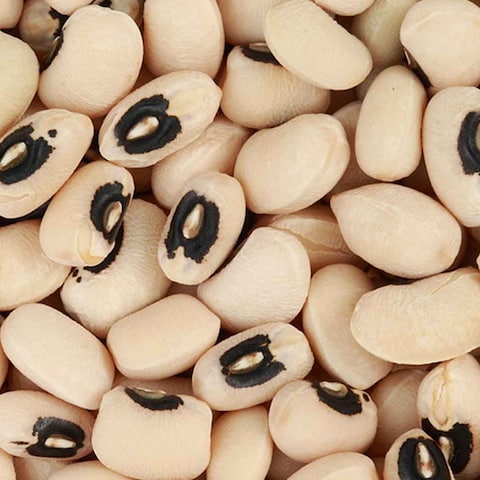 Eva White Kunde Beans