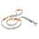 Ferplast G15/120 75604 Arlecchi Dog Leash