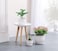 Vsell24 Ceramic Flower Plant Pots with Saucer Drainage Hole in Different Sizes White Stripe Texture for Garden, Fruits, Vegetable Plantation (large)