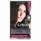 Dikson Pop Cream Color Permanent Hair Color Cream 400 4N Light Brown 110 ml