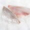 Fresh Grey Snapper Fillet