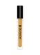 Character Hd Coverage Concealer Beige