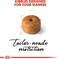 Royal Canin Fbn Siamese Adult 2 Kg Feline Breed Nutrition Cat Food, Siamese Adult Cat Dry Food