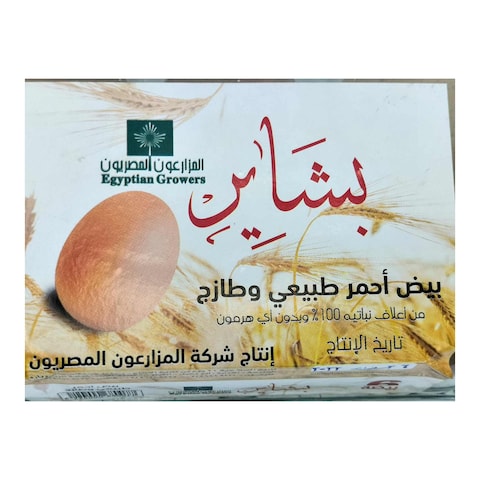 بشاير بيص أحمر - 6 قطع