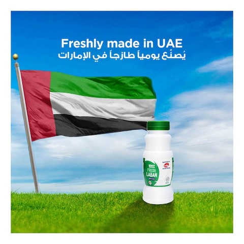 Al Ain Fresh Full Cream Laban 250ml