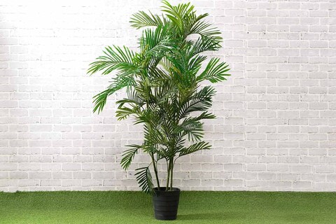 PAN Home Mini Palm Tree, Green, H180cm