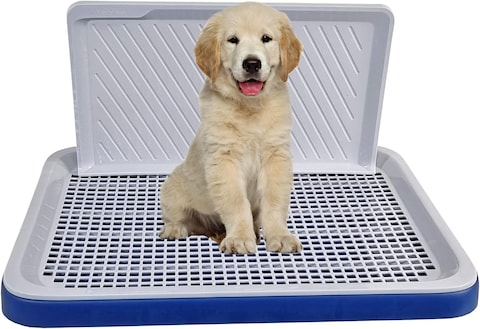 Dog Toilet Training, Dog Pee Training, Washable &amp; Easy To Clean, Dog Potty Tray, Keep Paws and Floor Clean, Portable, Durable, Indoor &amp; Outdoor, Blue &amp; Grey Color, Small Size, 51 Cm Length
