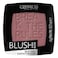 Catrice Blush Box 050 Burgundy