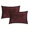 STARGOLD 8 Piece King Size comforter Set Soft Fabric Comforter Set For Bedroom Includes Comforter Bedsheet Pillow Sham Pillow Case &amp; Cushion