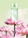 Elizabeth Arden Green Tea Lotus Eau De Toilette - 100ml