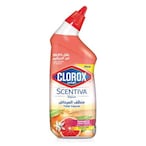 Buy Clorox Scentiva Toilet cleaner 709ml Madagascar Citrus Grove Bleach Free Toilet Bowl Cleaner in Kuwait